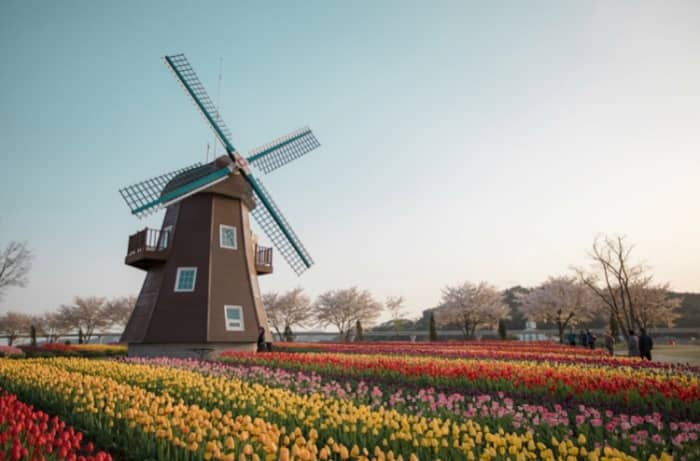the-pros-and-cons-of-living-in-the-netherlands