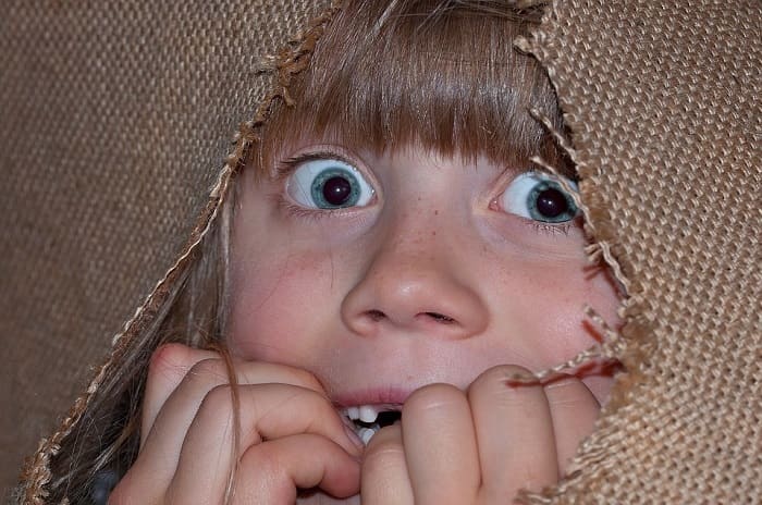 A 'perfect storm' has caused Google searches like "What is Momo?" and "Where does Momo live?" to spike.