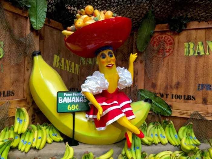 The term Banana Republic is applied to a handful of Central American countries, where the major export crop are bananas.