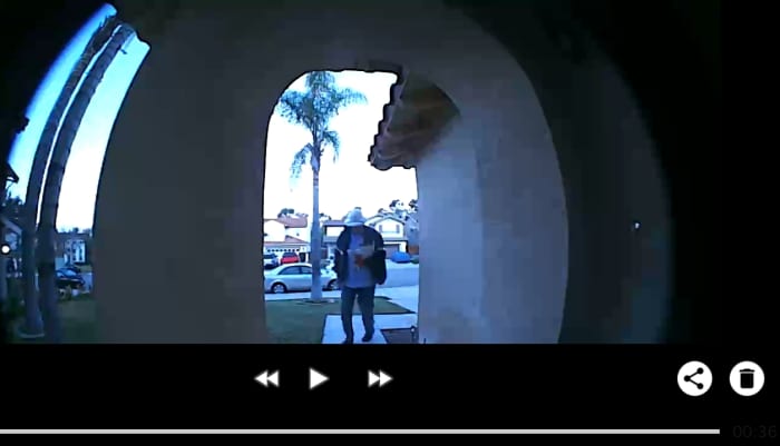 Your friendly neighborhood Palmtree postman is caught by the constant camera eye as he makes his daily rounds.