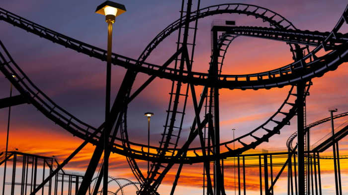 Part of my poem talks about a day that my brother took me to the theme park and helped me get over my fear of heights by riding every roller coaster in the park. It is one of my fondest memories with him.