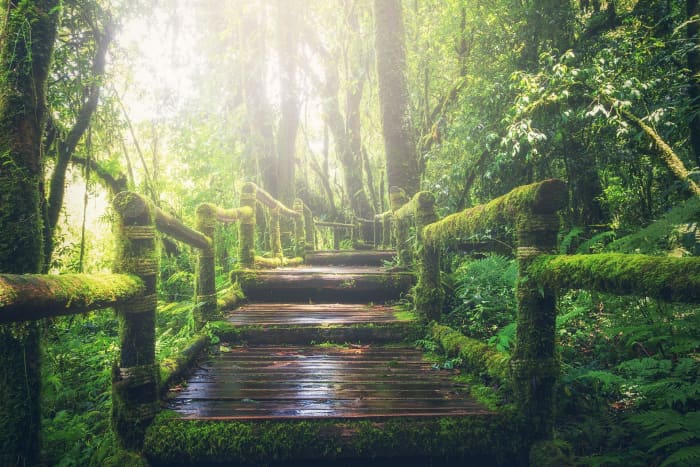 Some people have goals like traveling to new places around the world and revisiting some places that they have already traveled to in the past.