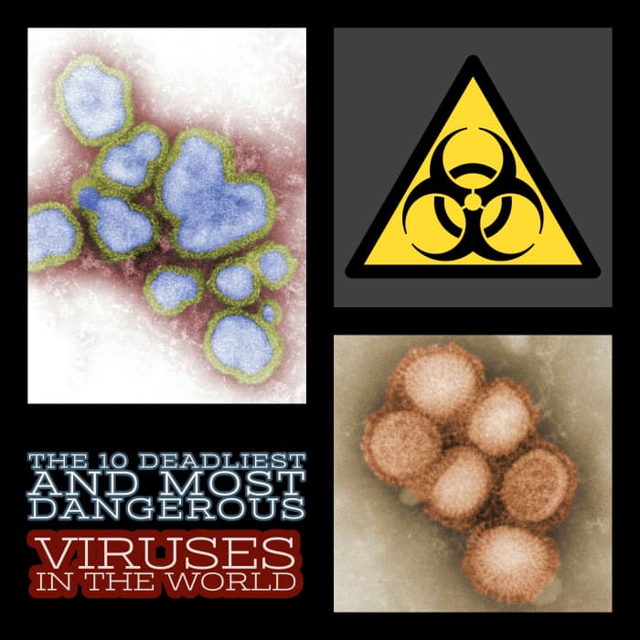 From Smallpox to Rabies, this article ranks the 10 deadliest and most dangerous viruses currently known to exist in the world.