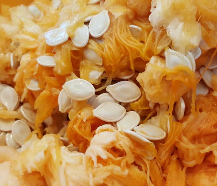 Pumpkins and squash come with plenty of seeds. Why throw them away when you can use them to plant more produce?