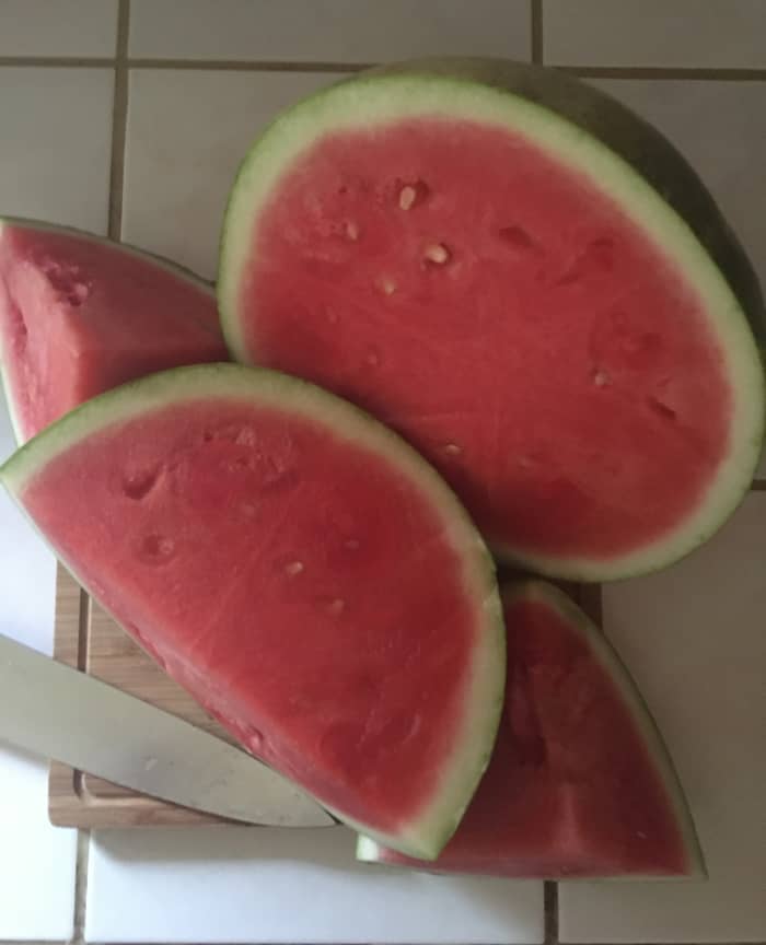 If you want to grow watermelon, make sure you get the kind that has lots of seeds! Remove the seeds and dry. Plant in containers in your garden.