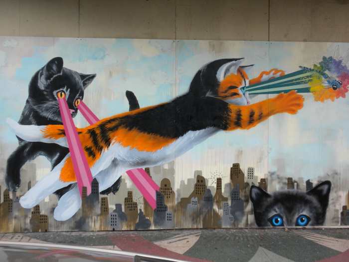 You know what would be awesome? If laser cats delivered laser hair removal treatments.