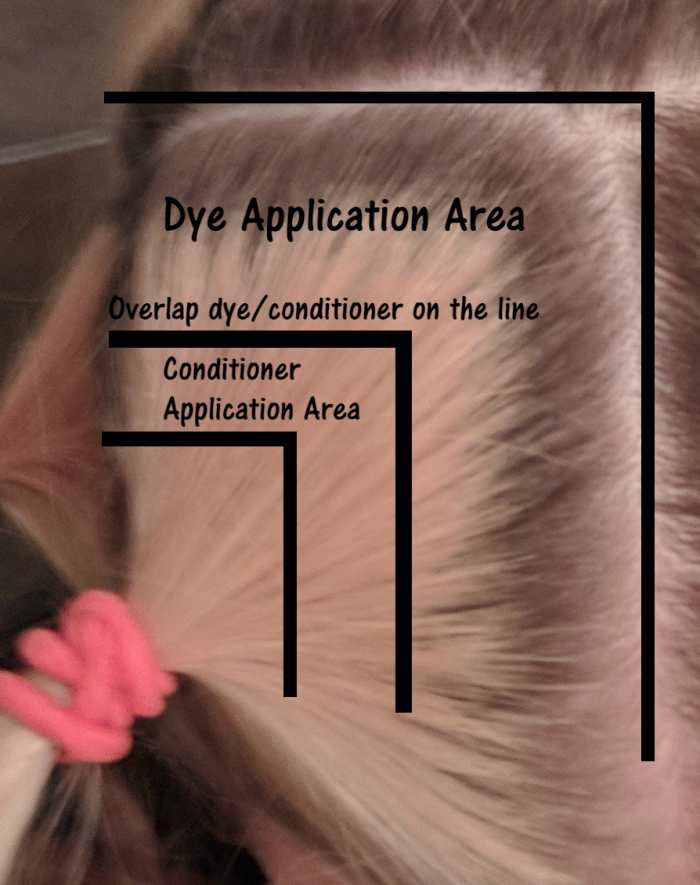 how-to-dye-your-hair-green-with-a-dark-brown-shadow-root