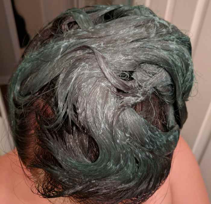 how-to-dye-your-hair-green-with-a-dark-brown-shadow-root