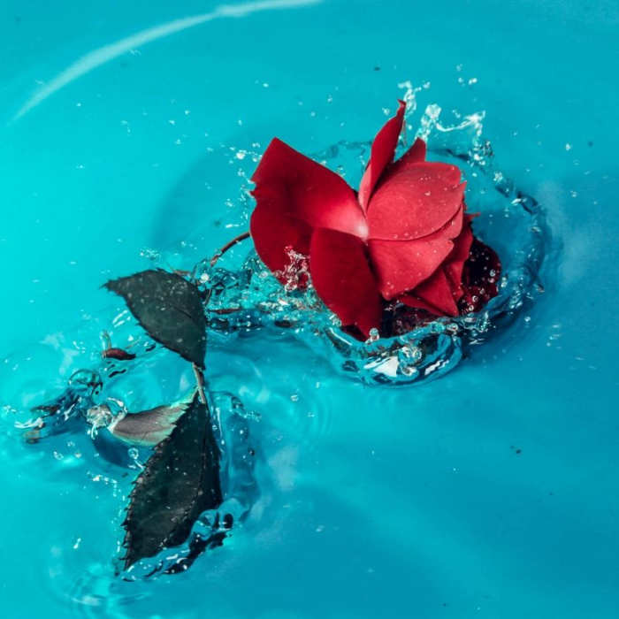 frugal-beauty-tips-that-will-save-you-money