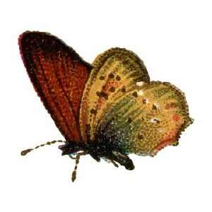 how-to-redesign-your-wardrobe-for-the-new-season