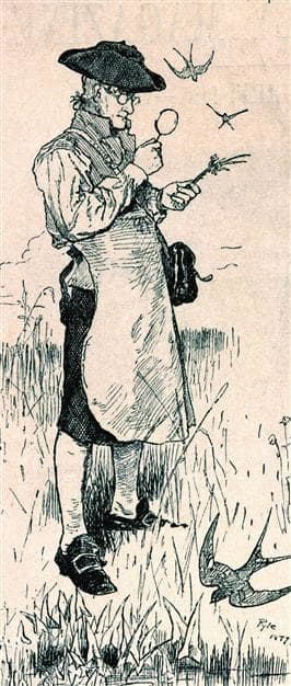 Early American Botanist John Bartram wearing an apron.