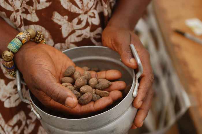 West African shea nuts are used to make their namesake butter, which can help soften the skin, boost collagen production, and aid in tissue cell regeneration.