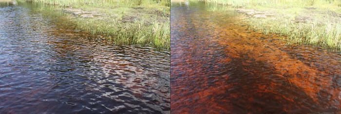 Water in lake Czarne, Marki, Poland. Photo on the right taken with polarization filter, on the left without polarization filter.