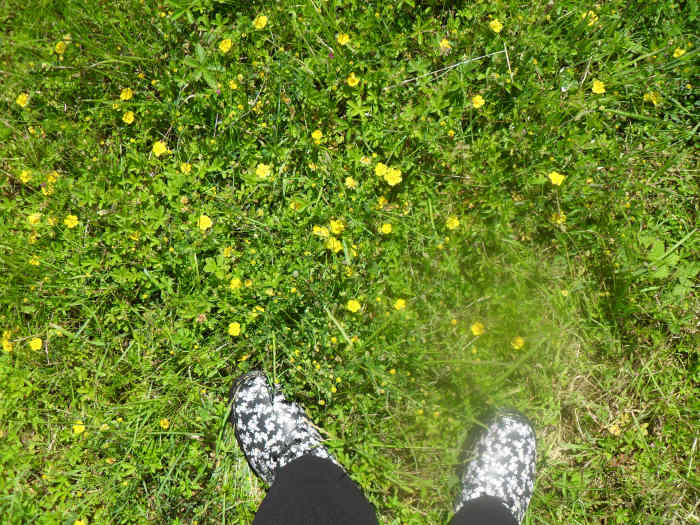 My flowered Docs kissing the English countryside.
