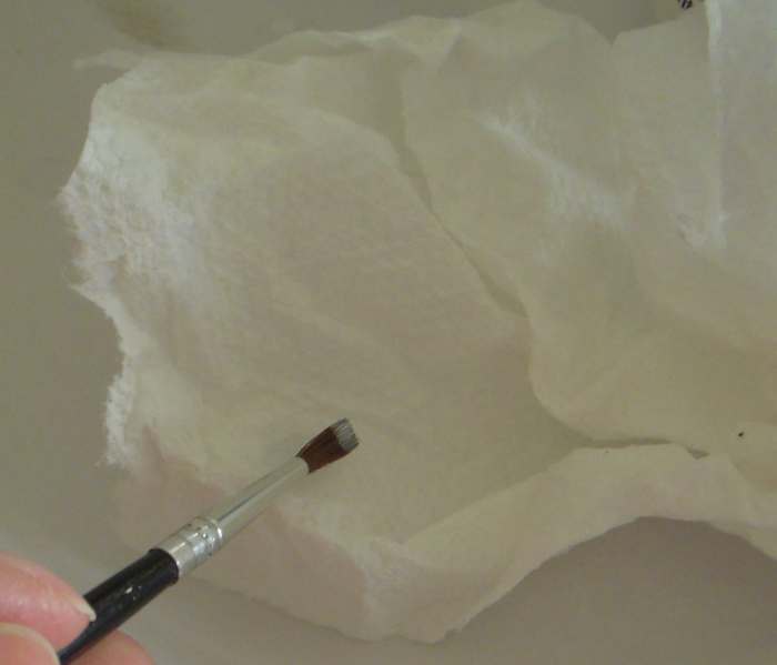 Dab excess polish onto paper towel.