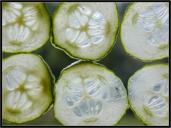The saying "cool as a cucumber" is one that could not be more true. With over 90% water, they automatically cool down the skin.