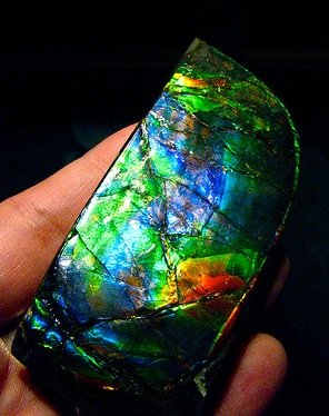 Ammolite