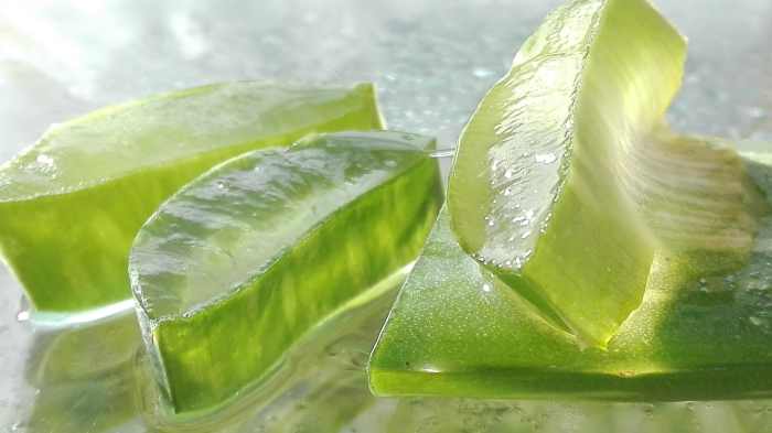 If you have an Aloe Vera plant, you can cut off a leaf and wipe the juice onto your skin.