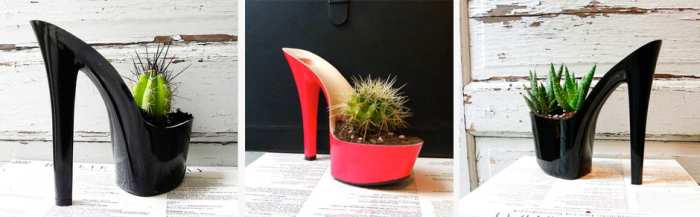 Spikes galore! Pain galore! Just don’t forget to water it…