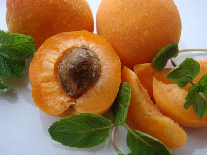  Apricot kernel
