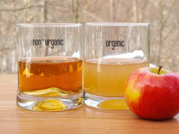 Notice how cloudy the organic ACV is compared to the non-organic. 