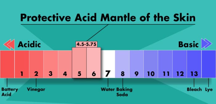 The skin's protective acid mantle on a pH scale