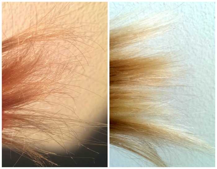 how-to-take-care-of-long-hair-and-keep-the-split-ends-away