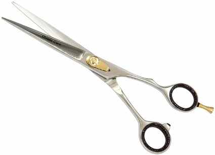 Professional Barber Scissors. Pretty fancy, and not expensive.