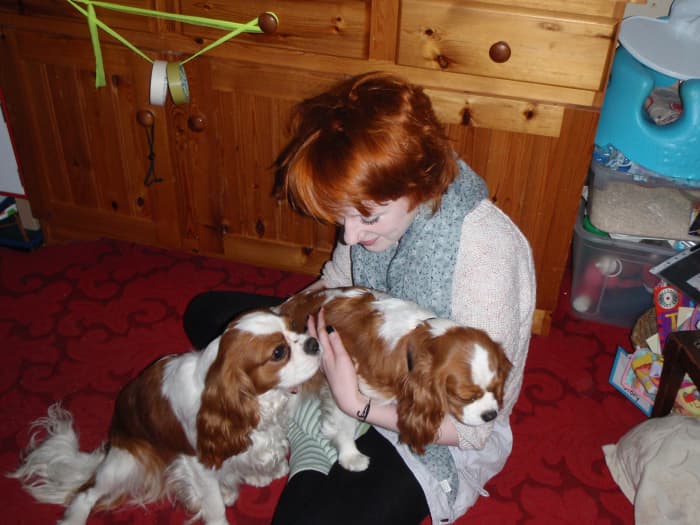 My hair a day after the henna treatment. As you can see, it became a deeper, darker shade a red. My hair was originally lighter than the ginger patches on my dogs.