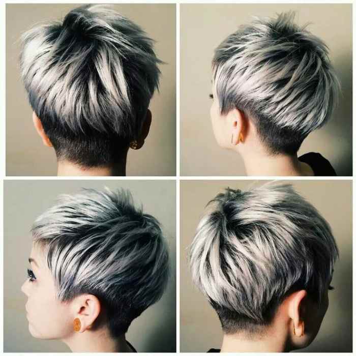 Short Hair With Frosted Gray Tips