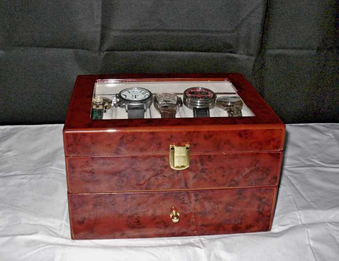 review-of-the-tech-swiss-tsaa31-577bur-watch-display-case