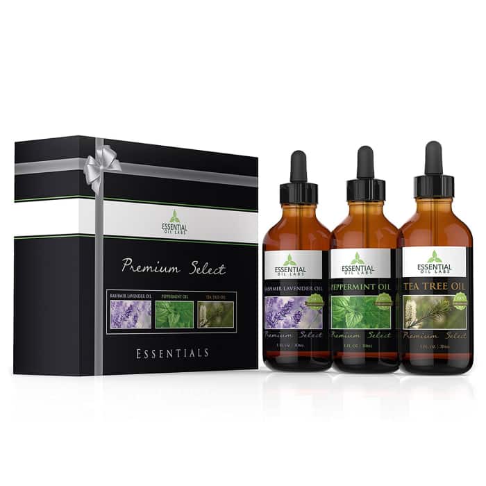 Essential Oils Gift Set—Aromatherapy Indulgence—Ylang Ylang, Rose and Bergamot 