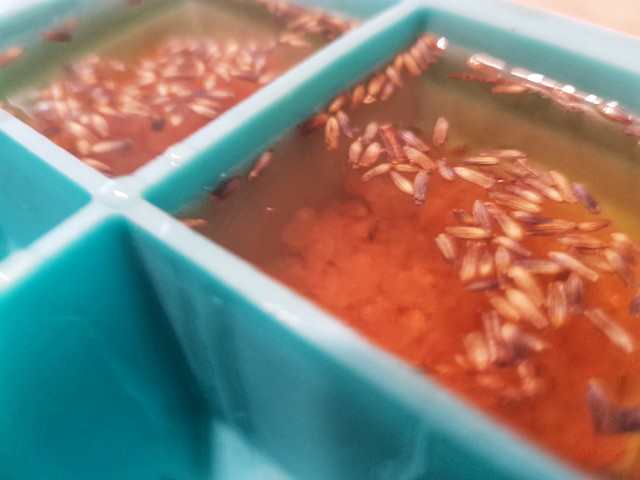 The bath bars in progress.
