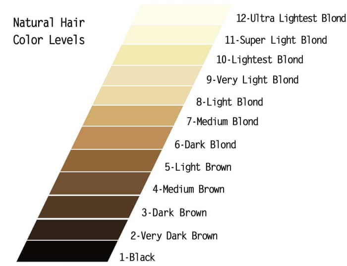 Natural Hair Color Chart