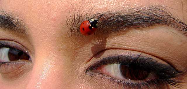 Keep your brows full and lush.