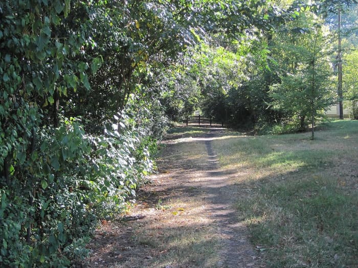 V & E Greenline (Vollentine & Evergreen) is a park established on an abandoned railroad track in the Vollintine-Evergreen neighborhood of Midtown Memphis, Tennessee