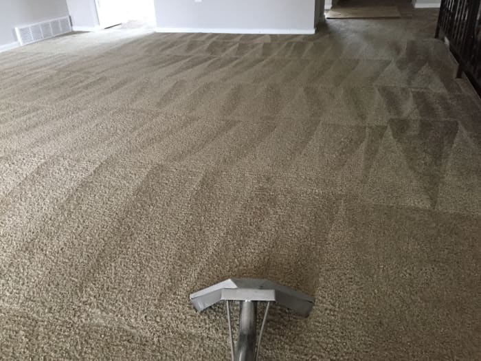 This article will break down how to remove stubborn carpet tar and restore your floor to its former glory.