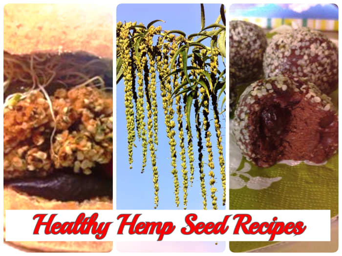 2 Healthy Hemp Seed Recipes for you! Bodacious Hemp Seed Burger and Luscious Max-Energy Balls! Enjoy!