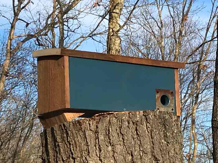 How to Build a Winter Roosting Box DIY Barn Wood Project for the Birds
