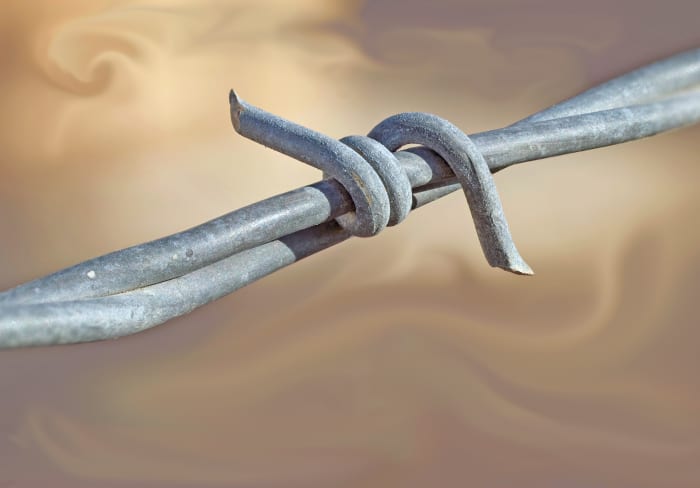 Stacked photo of barbed wire in back yard, bringing out details of mundane objects never before noticed.