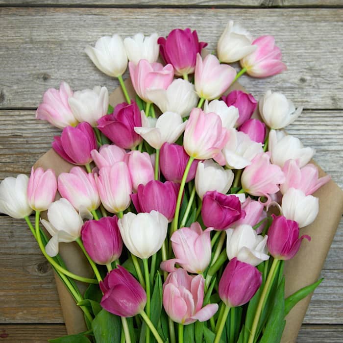 The Bouquet Of Tulips LetterPile the-bouquet-of-tulips-letterpile