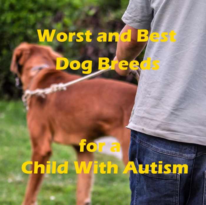 15 Worst Dog Breeds for a Child on the Autism Spectrum and 7 of the