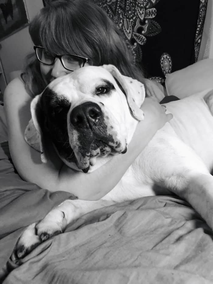 Despite what many think, pit bulls are some of the most loving dogs. They are gentle giants and love to cuddle and play.