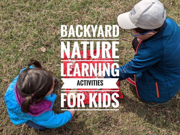 Backyard Nature Learning Activities For Kids - Wehavekids