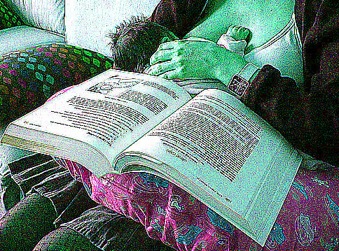 Photo Credit: http://www.flickr.com/photos/daquellamanera/2397006173/ under Creative Commons Attribution License