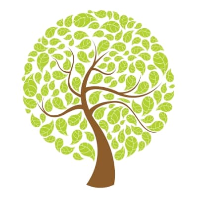 Digital records make filling out the branches of your family tree an obtainable goal!