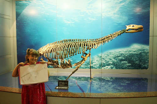 Holding a plesiosaur sketch at the dinosaur museum.