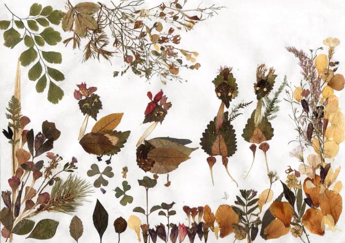 This is a beautiful piece of art created from pressed flowers and leaves. Children who want brighter colours in their art instead of pastel shades could include pink, blue and purple flowers.