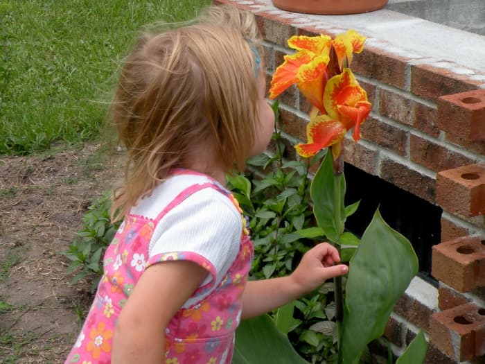 Even young children can appreciate a flower. Our 5-year-old granddaughter enjoys the scents of flowers as well as the colors.