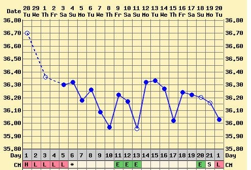 This is my chart for the 3 weeks after my miscarriage - although I had EWCM, I did not ovulate and my period came 3 weeks after the miscarriage.